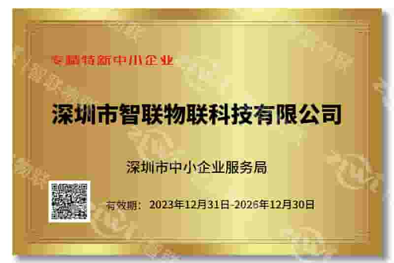 PA真人国际专精特新证书